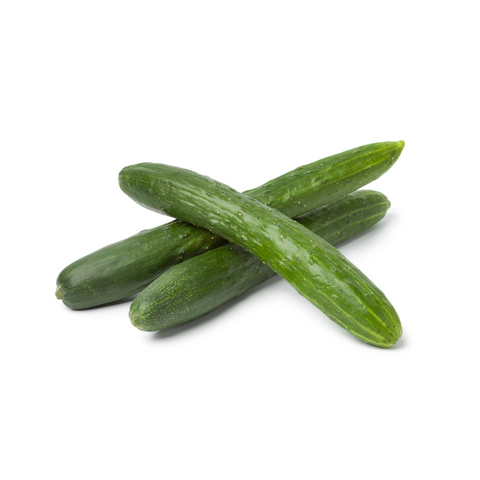 Kyuri (Japanese Cucumber)