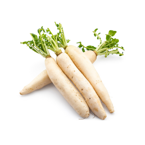 Radish