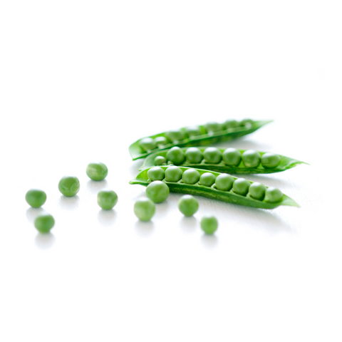 Snapbeans