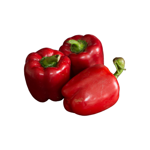 Red Bell Pepper Sultan (Big)