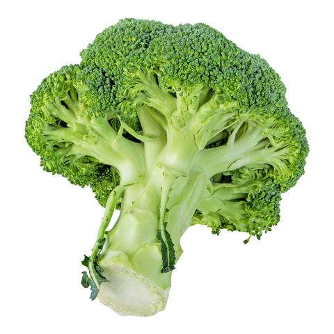 Broccoli Trimmed