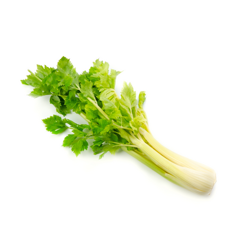 Celery