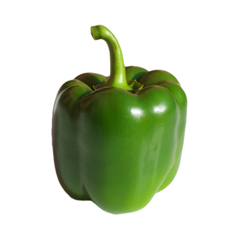 Green Bell Pepper