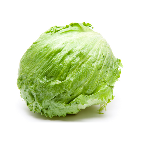 Iceberg Lettuce