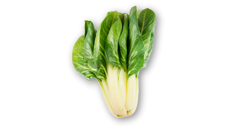 Vegetables