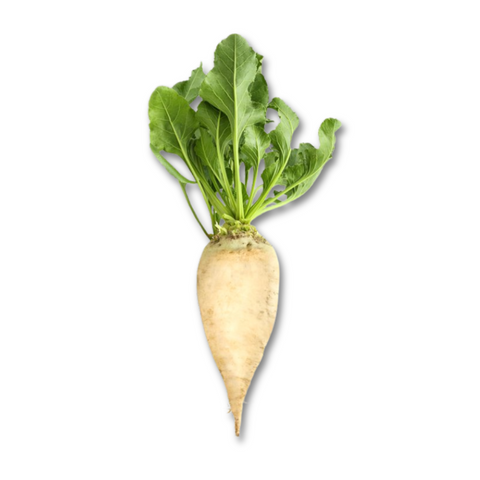 Sugar Beets