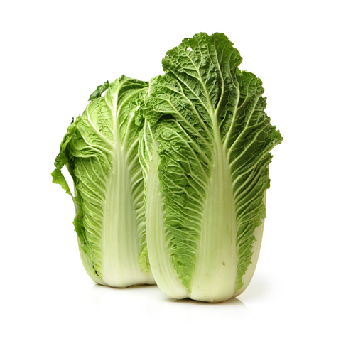 Chinese Cabbage