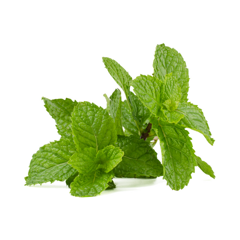 Mint