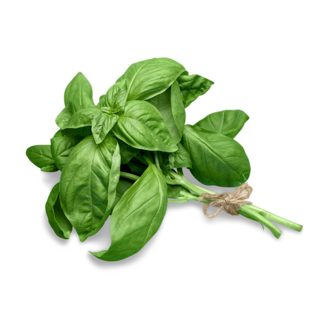 Basil
