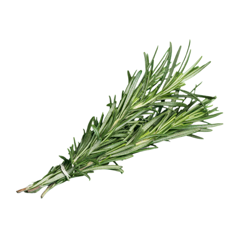 Rosemary