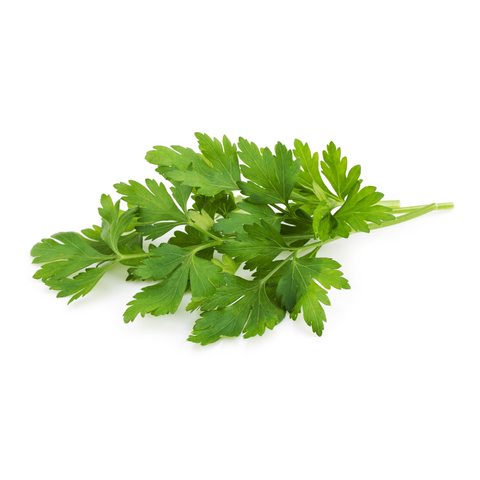 Parsley